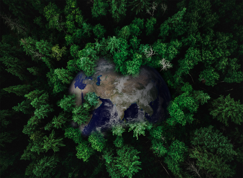 J9旗舰厅(中国区)官方网站